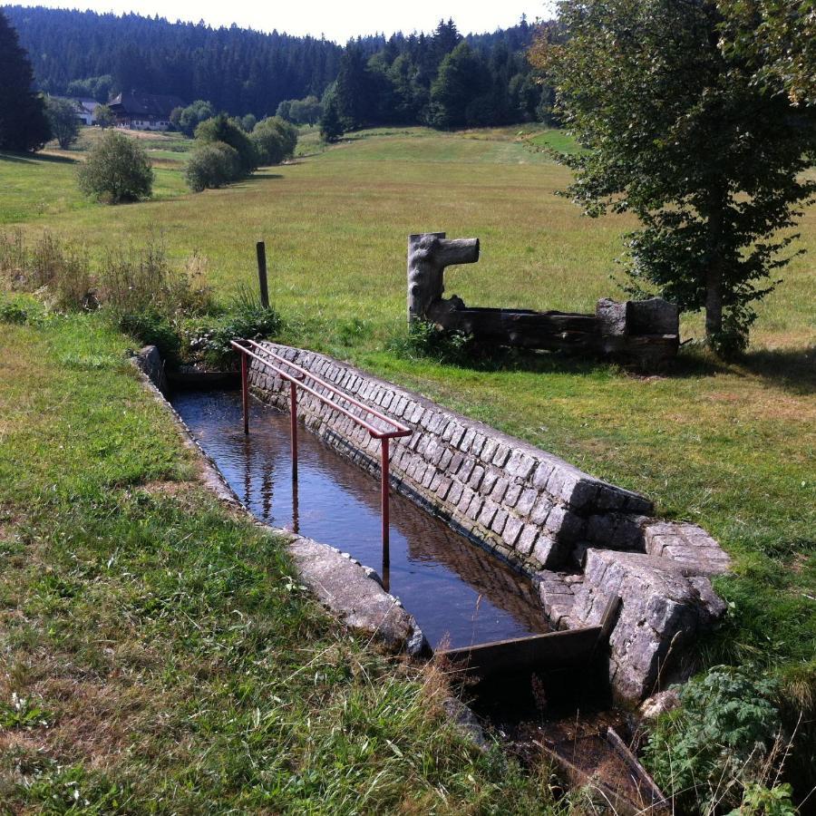 Ferienwohnung Waldblick Тодтнау Екстериор снимка